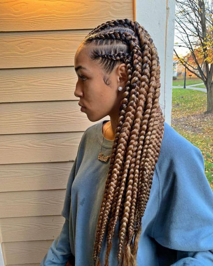  Jumbo Lemonade Braids 8